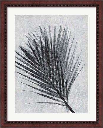 Framed Palm 1 Grey Print