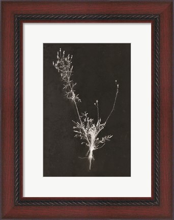 Framed You Can&#39;t X-ray Beauty Print