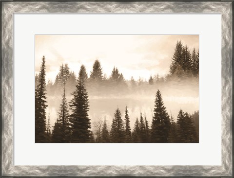 Framed Fog in the Forest Print