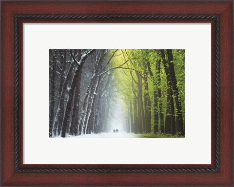 Framed Spring is Coming Print