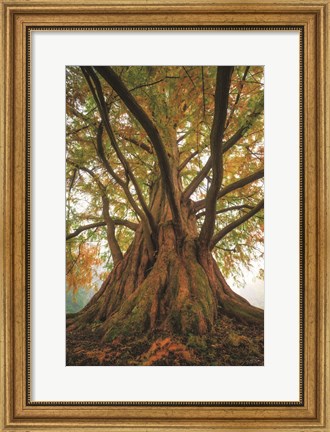Framed Tentacle Tree Print