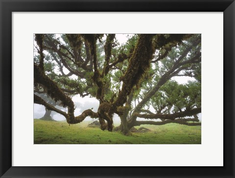 Framed Reaching Out Print