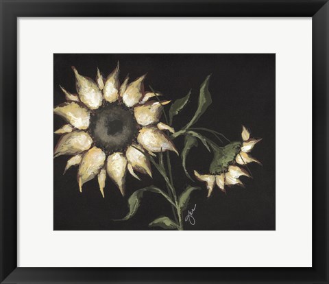 Framed Sunflower on Black Print