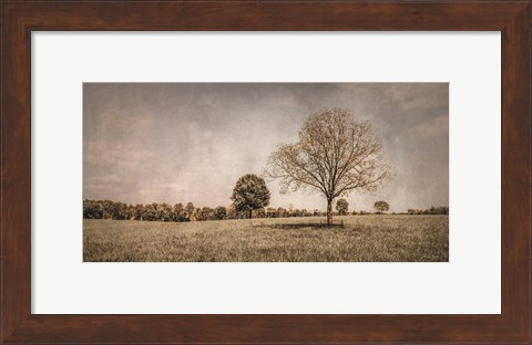 Framed Spring in the Fields Print