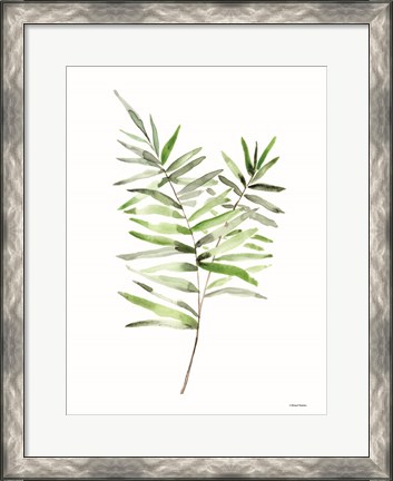 Framed Leafy Stem 1 Print