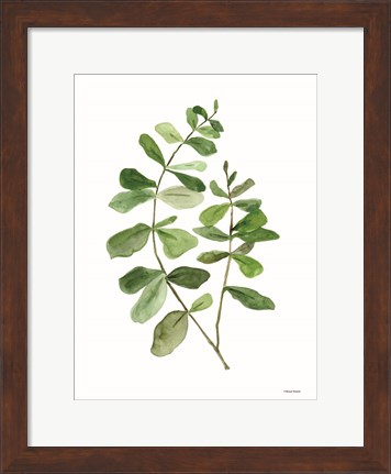 Framed Leafy Stem 2 Print