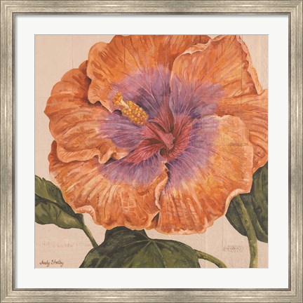 Framed Island Hibiscus II Print