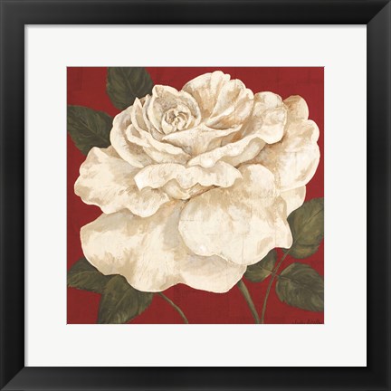 Framed Rosa Blanca Grande II Print