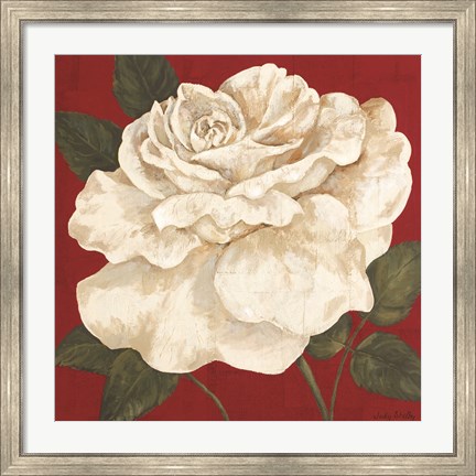 Framed Rosa Blanca Grande II Print