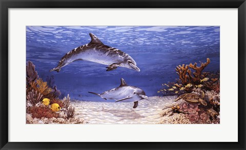 Framed Dolphin World Print