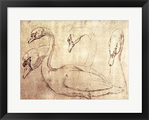 Framed Sepia Swan Study Print