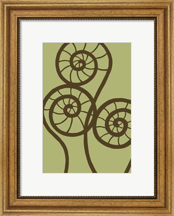 Framed Dichromatic Fiddleheads II Print