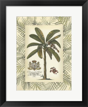 Framed Palm in Bamboo Frame II Print