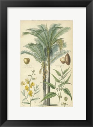 Framed Palms in Bamboo I Print