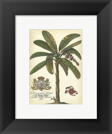 Framed Palm and Crest II Print