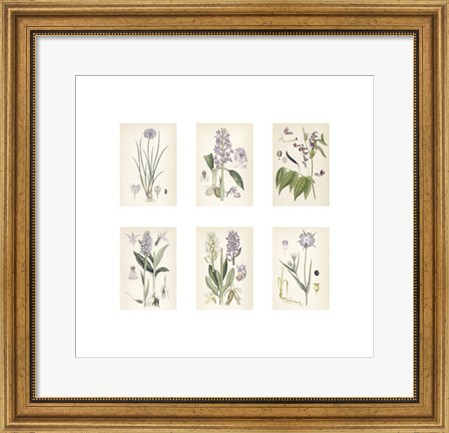 Framed Purple Botanicals Print