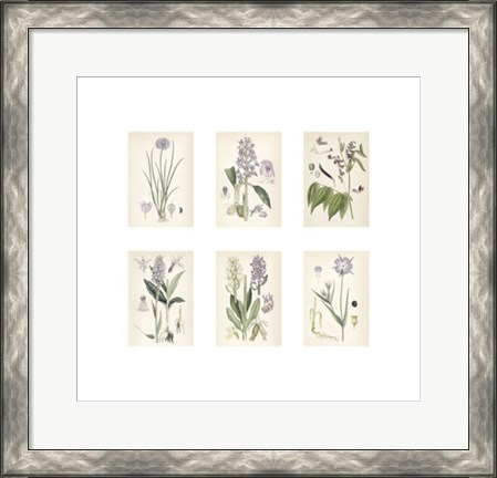 Framed Purple Botanicals Print