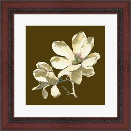 Framed Magnolia on Taupe I Print