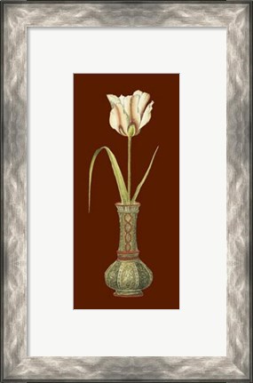 Framed Tulip in Vase IV Print