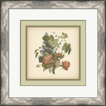 Framed Tuscany Bouquet (P) III Print