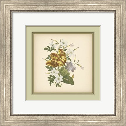 Framed Tuscany Bouquet (P) IX Print