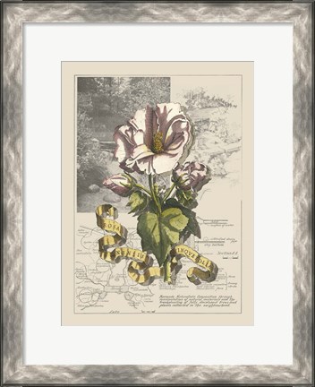 Framed Garden in June III Print