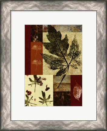 Framed Leaf Print Collage (U) III Print