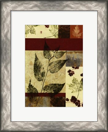 Framed Leaf Print Collage (U) IV Print