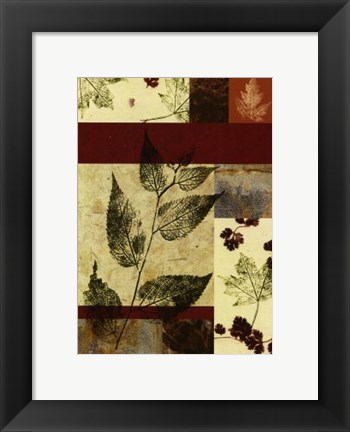 Framed Leaf Print Collage (U) IV Print