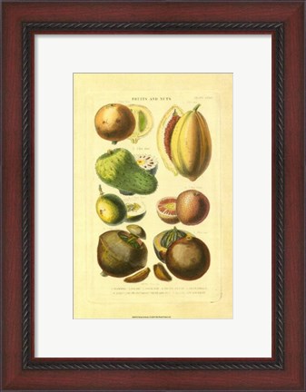 Framed Fruits and Nuts I Print