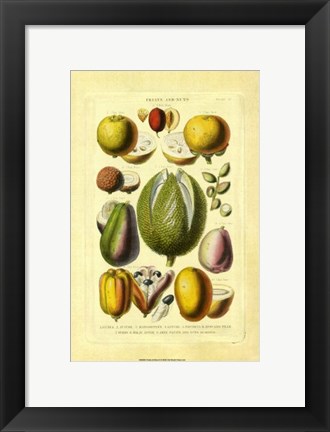 Framed Fruits and Nuts II Print