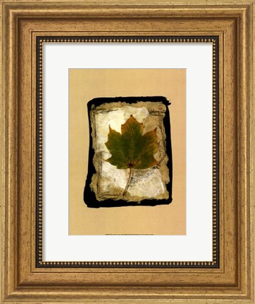 Framed Kyoto Leaves V Print