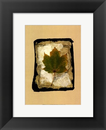 Framed Kyoto Leaves V Print