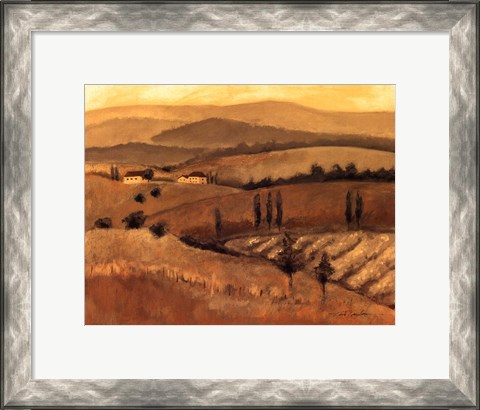 Framed Golden Tuscany Afternoon II Print