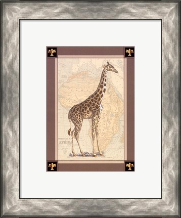 Framed Giraffe with Border II Print