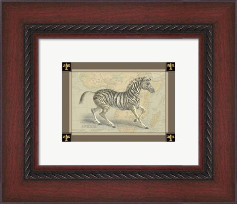 Framed Zebra with Border II Print