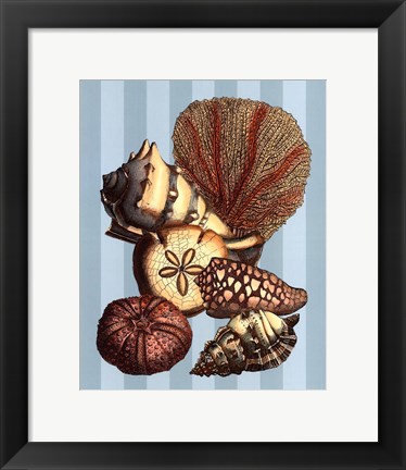 Framed Shell and Coral on Aqua II Print
