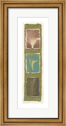 Framed Feather Fossils I on FAP Print
