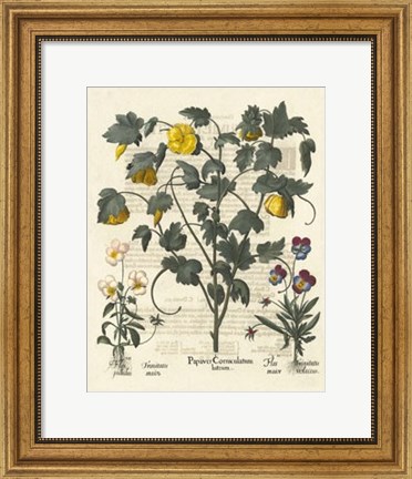 Framed Floral VI Print