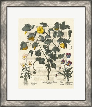 Framed Floral VI Print