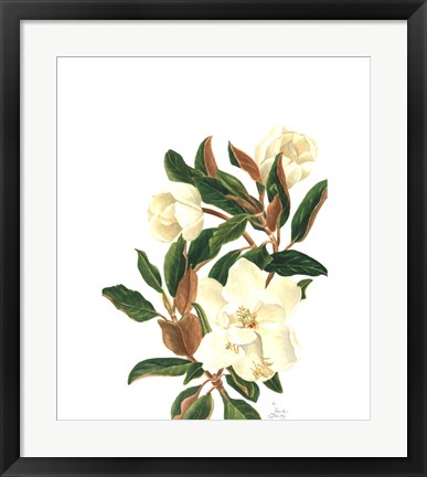 Framed Magnolia II (Le) Print
