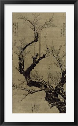 Framed Plum Blossom Tree Print