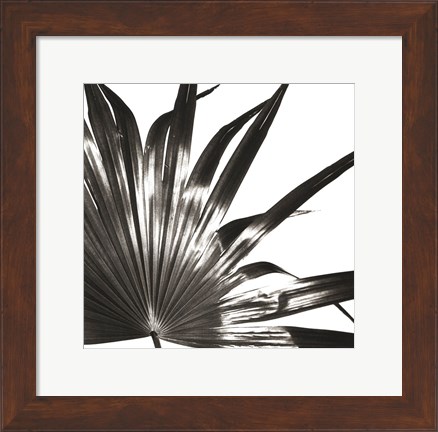 Framed Black and White Palm I Print