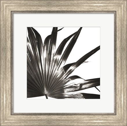 Framed Black and White Palm I Print