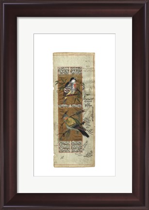 Framed Bird Pair from India I Print