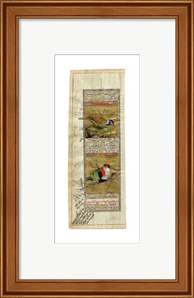 Framed Bird Pair from India II Print