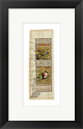 Framed Bird Pair from India II Print