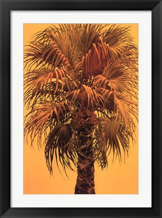 Framed La Jolla Print