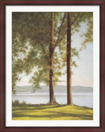 Framed Sunlit Trees II Print