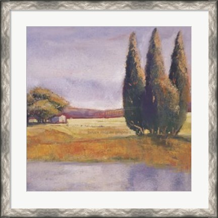 Framed Sunset Cypress Print